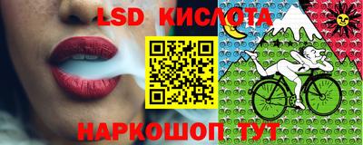 ГАЛЛЮЦИНОГЕННЫЕ ГРИБЫ Тверь