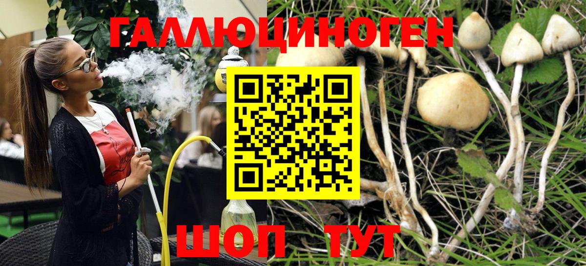 Кокаин  Вход с VPN  Меф МЯУ МЯУ кристаллы  Нерюнгри  ГАШИШ 