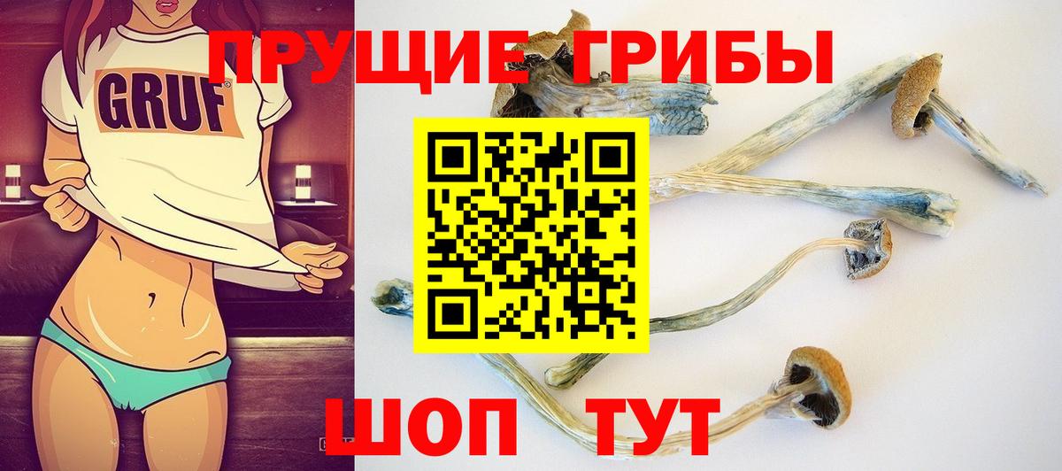 Нерюнгри  Псилоцибиновые грибы Magic Shrooms  где продают наркотики  Вход с VPN 